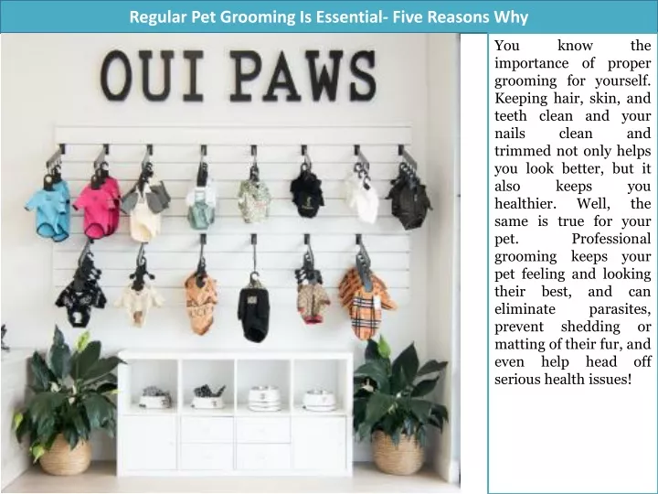 regular pet grooming is essential five reasons why