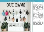 Regular Pet Grooming Is Essential- Five Reasons Why - slide 1