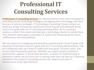 Professional IT Consulting Services