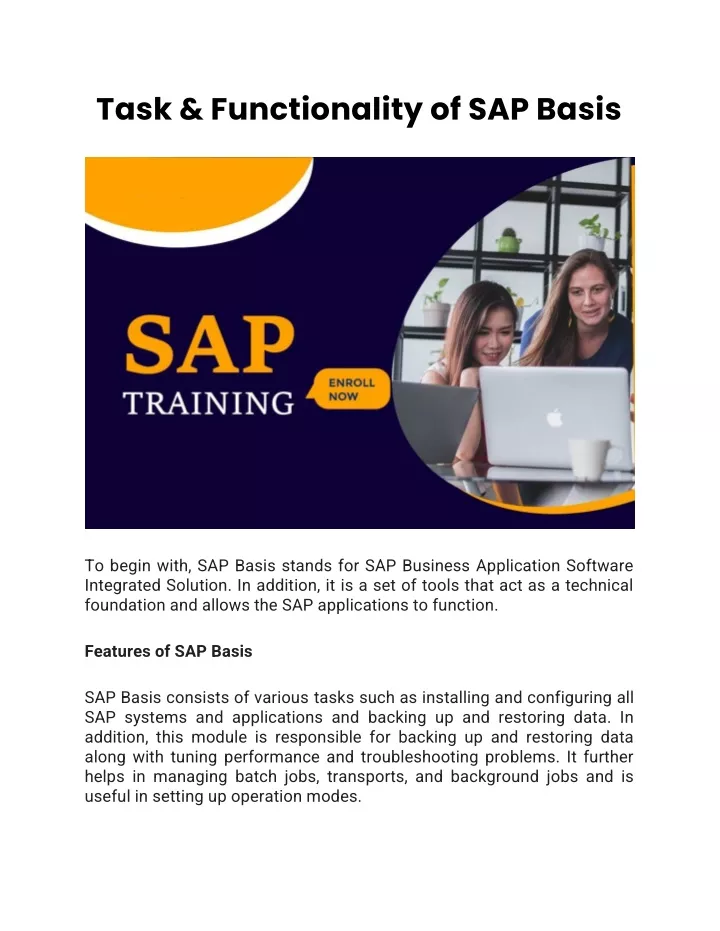 task functionality of sap basis
