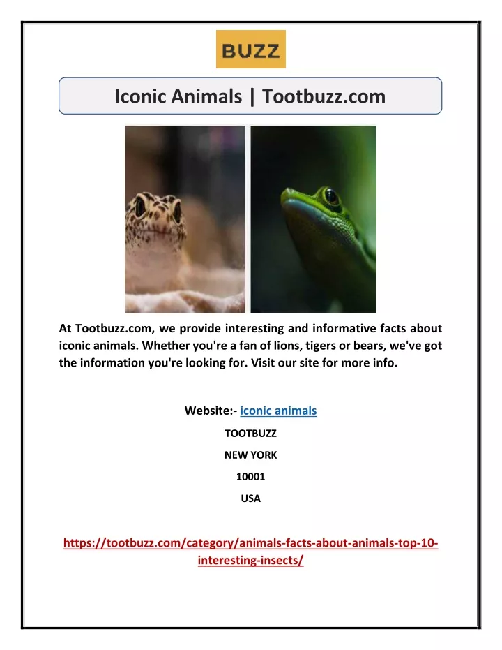 iconic animals tootbuzz com