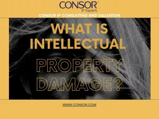 consor ip consulting and valuation