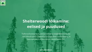 shelterwoodi l ikamine eelised ja puudused