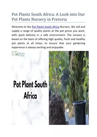 Pot Plants South Africa A Look into Our Pot Plants Nursery in Pretoria