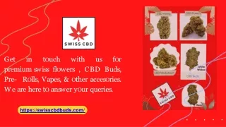 The UK's Largest CBD Flower & Bud Store – Swiss CBD - swisscbdbuds
