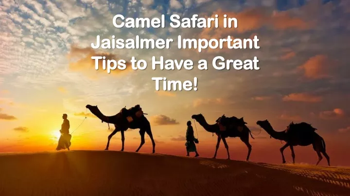 camel safari in camel safari in jaisalmer