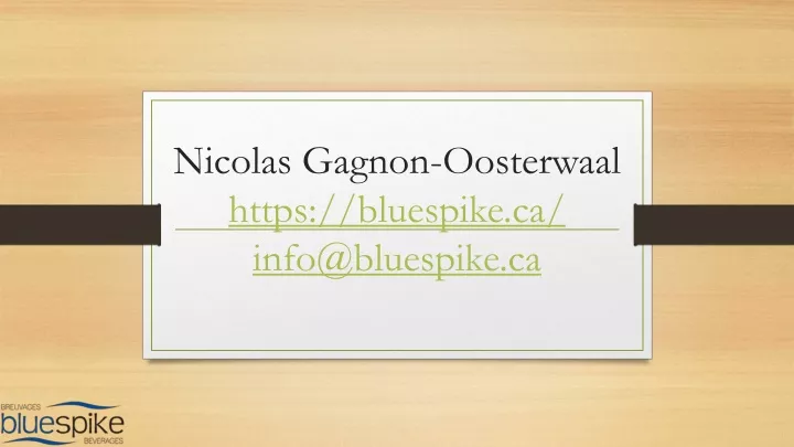 nicolas gagnon oosterwaal https bluespike ca info@bluespike ca
