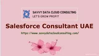 Salesforce Consultant UAE