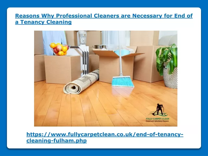 reasons why professional cleaners are necessary