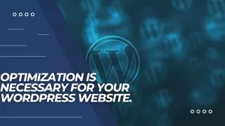 Optimization is Necessary for Your WordPress Website.