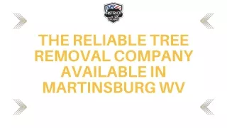 The Reliable Tree Removal Company Available in Martinsburg WV