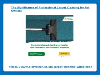 the significance of professional carpet cleaning
