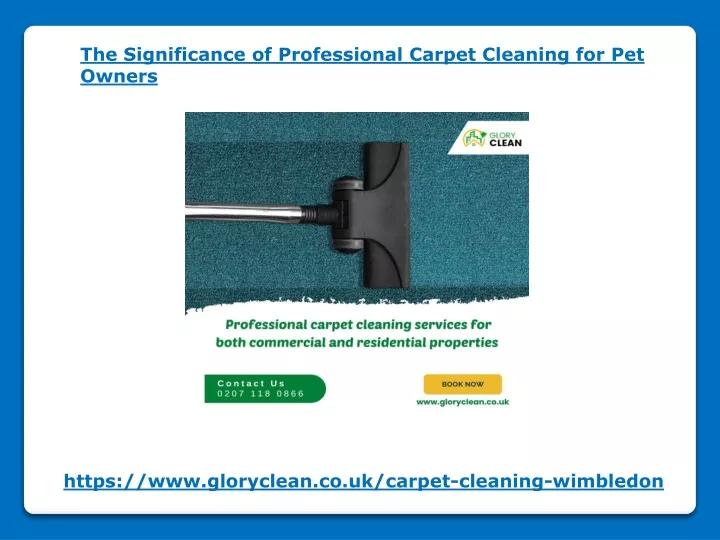 the significance of professional carpet cleaning