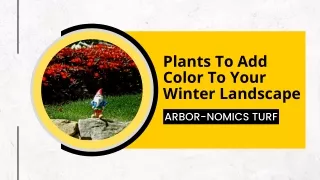 Plants To Add Color To Your Winter Landscape