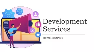 Development Services(Brandsdynamo)