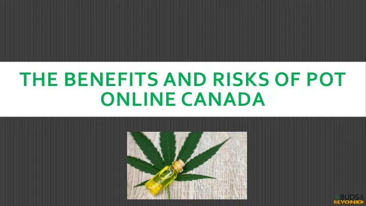 the benefits and risks of pot online canada