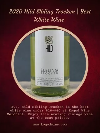 2020 Hild Elbling Trocken | Best White Wine – Kogod Wine Merchant