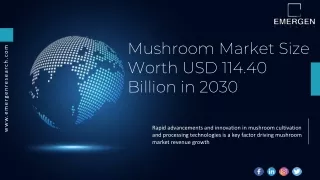 Mushroom Market Services Market In-Depth Analysis by Key Players, Forecast 2030