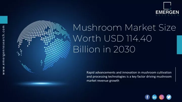 mushroom market size worth usd 114 40 billion