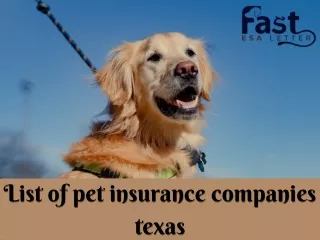 List of Pet Insurance Companies Texas