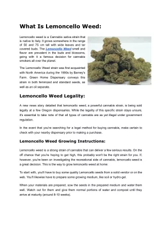 Lemoncello Weed Strain For Sale  Green Home Dispensary