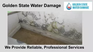 Mold remediation service | golden state water damage