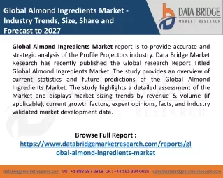 Almond Ingredients Market