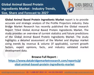 Animal Based Protein Ingredients Market