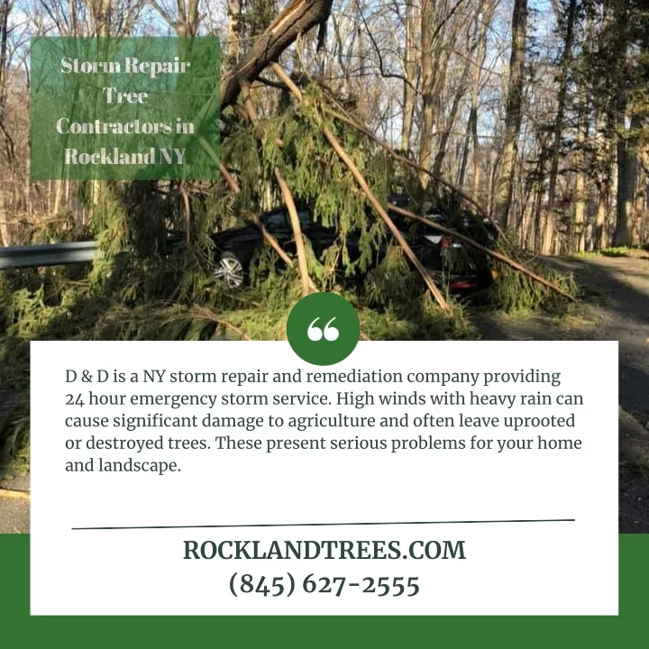 storm repair tree contractors in rockland ny