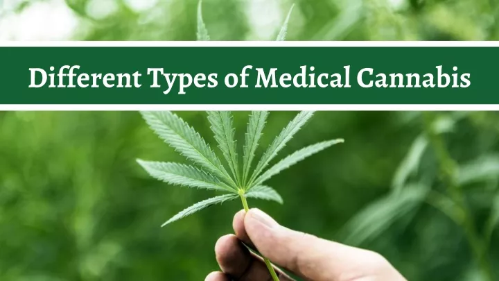 different types of medical cannabis