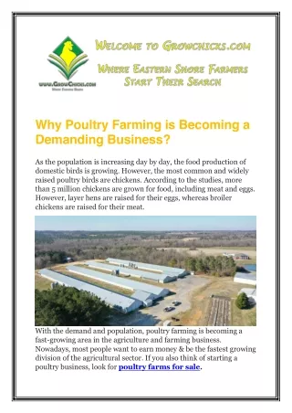 Why Poultry Farming is Becoming a Demanding Business