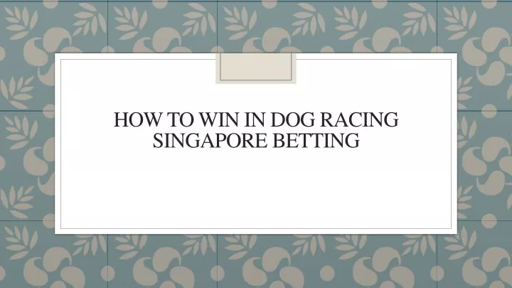 how to win in dog racing singapore betting