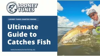 looney tunes charter fishing