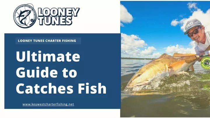 looney tunes charter fishing