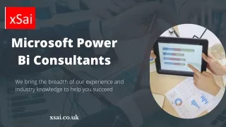 Microsoft Power Bi Consultants