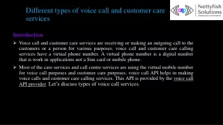 Different types of voice call and customer care