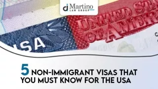 5 Non-Immigrant Visas That You Must Know for the USA