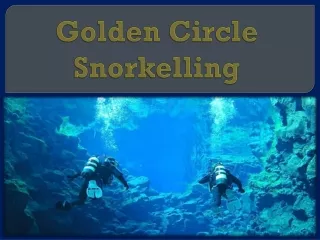 Golden Circle Snorkelling
