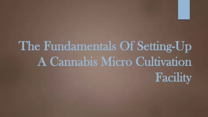 the fundamentals of setting up a cannabis micro cultivation facility