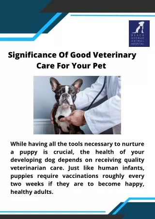 Significance Of Good Veterinary Care For Your Pet