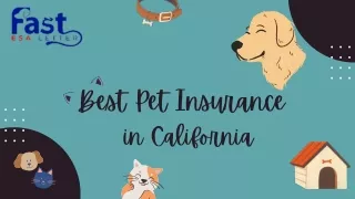 Best Pet Insurance in California