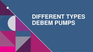 Different Types Debem Pumps