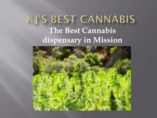 The best cannabis dispensary in Mission