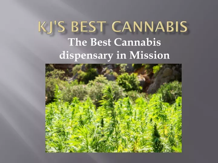 kj s best cannabis