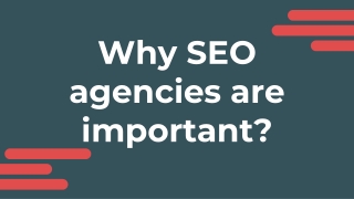 Why SEO agencies are important?