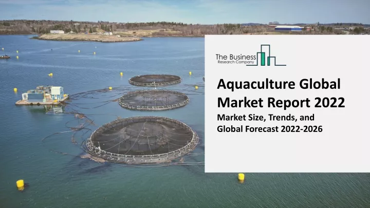 aquaculture global market report 2022 market size