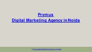 Digital Marketing Agency in Noida