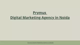 Digital Marketing Agency in Noida