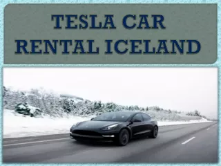 Tesla Car Rental Iceland