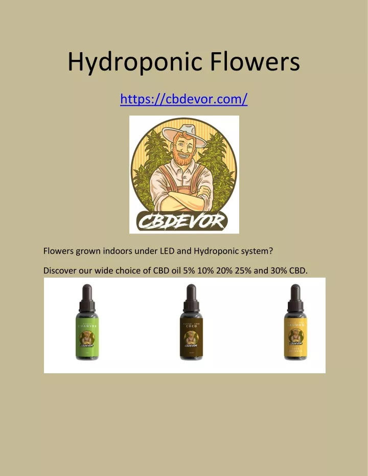 hydroponic flowers